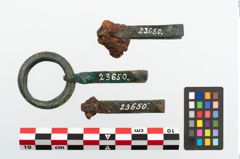 Foto von Bronzegürtelzwingen (NHMW-PRAE-023650)